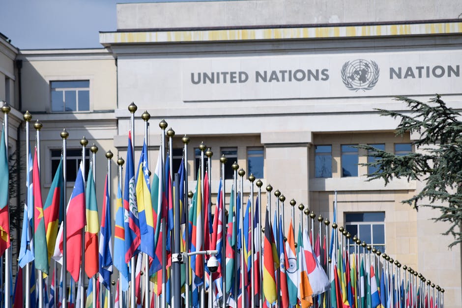 Trump Criticizes United Nations as 'Feckless Institution' in General Assembly Address