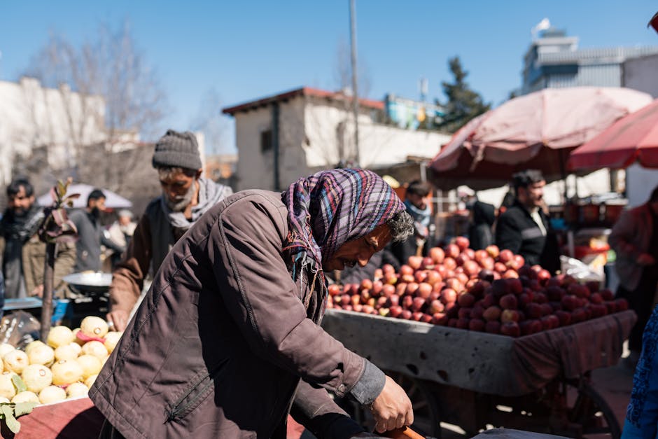 Taliban Rejects Trump's Demand for Return of Bagram Air Base