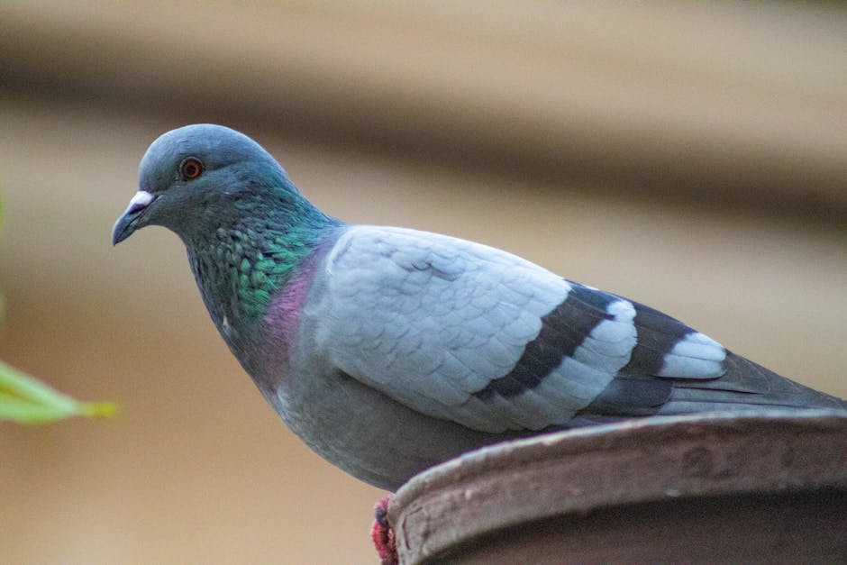 Legendary Cricket Umpire Dickie Bird Passes Away at 92