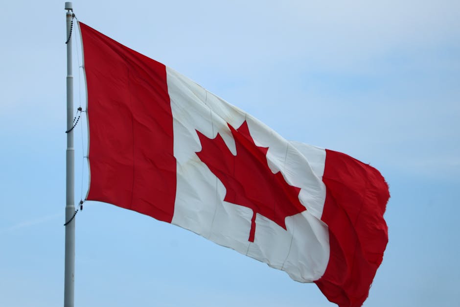Canadian Government Intervenes in Air Canada Flight Attendant Strike, Forces Binding Arbitration
