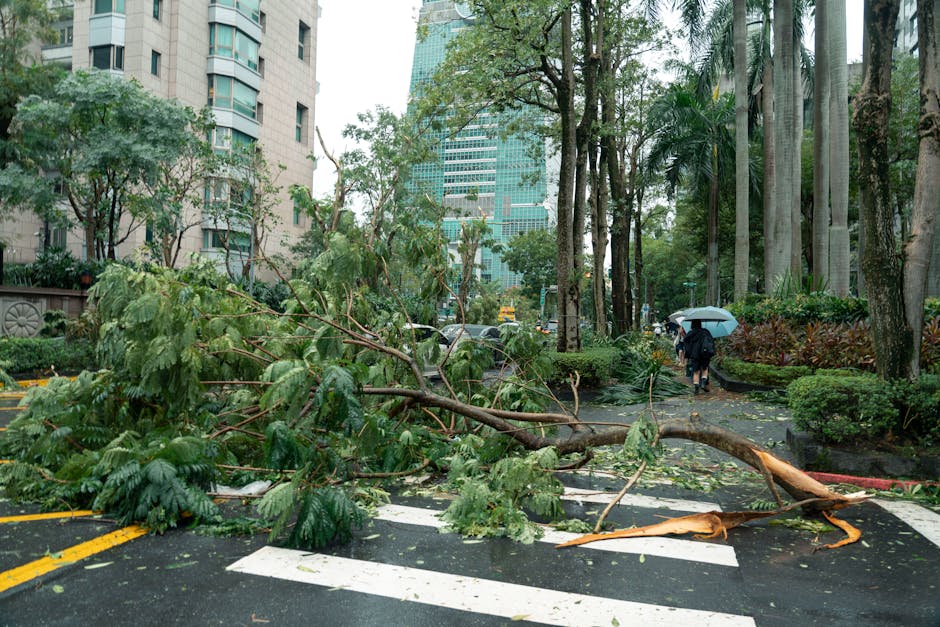 Super Typhoon Ragasa Barrels Towards Hong Kong and Southern China After Causing Chaos in Philippines and Taiwan